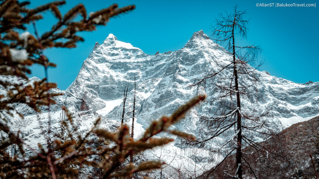 红杉林 (Redwood Forest) — Final / highest stop
