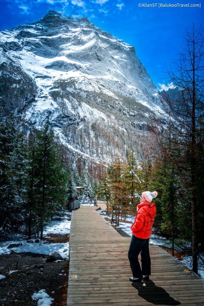 Siguniang Mountain Travel Guide: 红杉林 (Redwood Forest) 