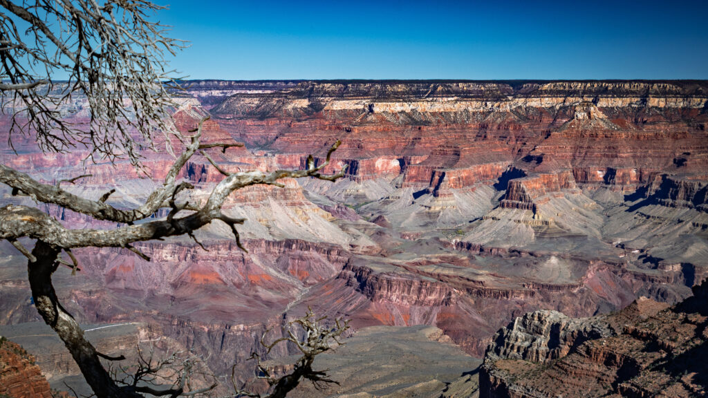 Pipe Creek Vista: Grand Canyon South Rim