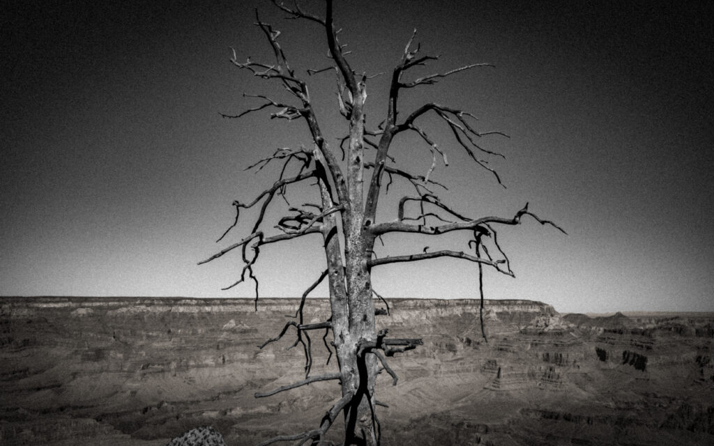 Grandview Point: Grand Canyon South Rim