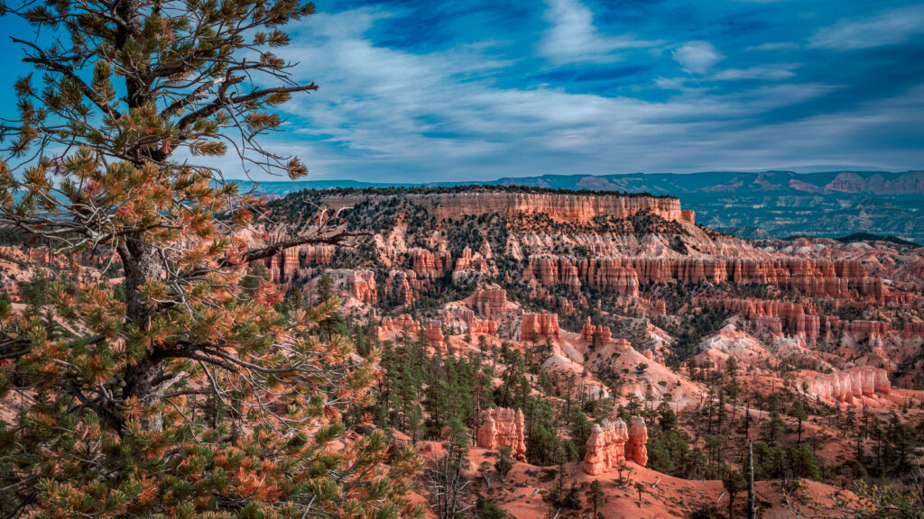Sunrise Point: Bryce Canyon